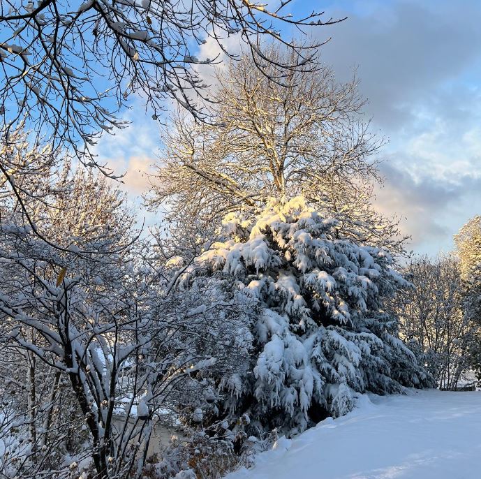 Winterlandschaft